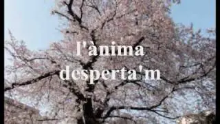 L'&Agrave;NIMA DESPERTA'M (La Flor del Cirerer)