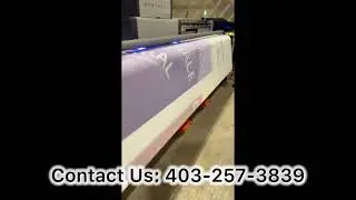 Seamless Backdrop Printing | High-Quality Large Format Printing in Calgary