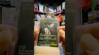 From My TCG Collection to Yours, A Beard&rsquo;s Tale: eBay💰Sales/Ship📦 Ep. 14 Mega Absol SIR #pokemon