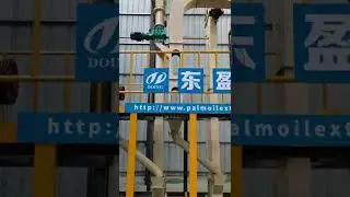 Complete set of cooking oil production line display video
