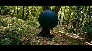 ShataQS - Nasza rzeczywistość (oficjalne wideo - official video) A=432hz