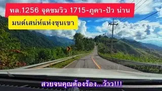 เส้นทางสายธรรมชาติ ถึงจะแคบ แต่คุณควรผ่านสักครั้ง  ทล.1256 ปัว บ่อเกลือ น่าน 