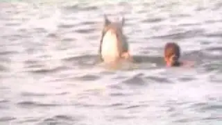 MOV03b