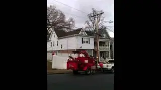 Randy Lee The Tree Surgeon (Alpine Place - 2)