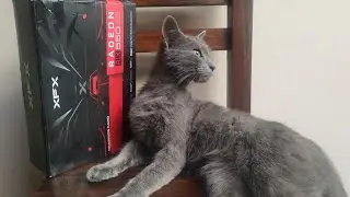 BRUTAL RENDIMIENTO RYZEN 3 3200G con integrada VEGA 8 y luego realizamos mejora con RX 550 4GB 🙌😹🖥️🎄