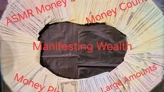 ASMR Money Counting| Cash(Real)| Large Amounts #cash #moneycounter #fyp 