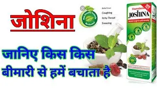 Medicine for Cold & Coughing -  Hamdard Joshina | Herbal cough & cold remedy
