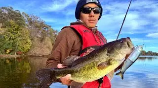 Fall Bass Fishing. - Minnesota Lakes