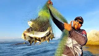 PLAYPESCA - CARDUME na PESCARIA de TARRAFA