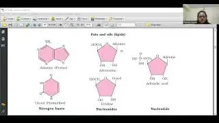 Biomolecules, Part 3