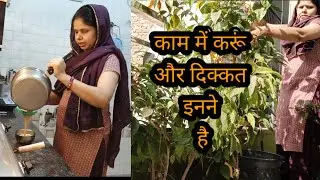 काम मैं करूं और दिक्कत इने है Morning routine vlog#viralvideo  #vlog #routinevlog #familyvlog #vlogs