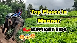 Top Places in Munnar | Elephant Ride | #munnar #places #to #visit