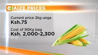 Costly ugali, maize flour prices to rise