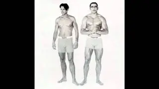 Sparks - Amateur hour (Plagiarism)