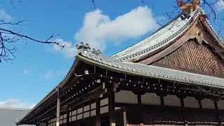 Tenryū-ji Temple & Garden in Arashiyama Kyoto 天龍寺・庭園