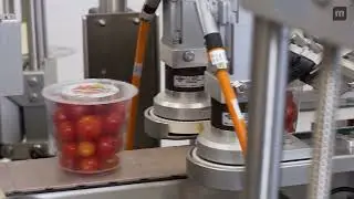 MULTIVAC Automated High-Output Traysealing Line Solution for Packaging Fresh Produce in Cups