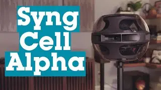 Syng Cell Alpha powered speaker | Crutchfield