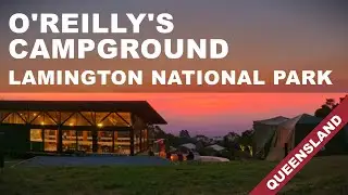 O'Reilly's Campground, Lamington National Park, Queensland, Australia