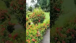64 yogini tample