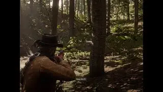 Tracked & Killed the Legendary Fox in Red Dead Redemption 2 | Perfect Hunt