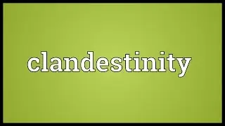 Clandestinity Meaning