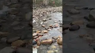 Шлюз под дождём #шлюз #золотопоиск