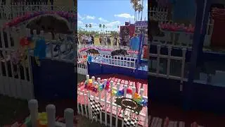 Pig Races #pigs #pigraces #racing #racingpigs #swimingpigs #swimming