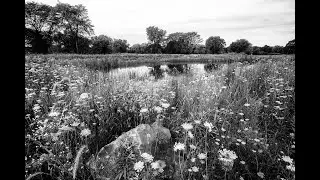 Landscape Photography among Prairie Wildflowers