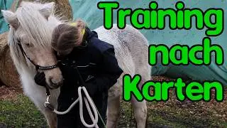 Trainingskarten ausprobieren
