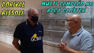 DORIVAL BISSOLI. MULTI CAMPEÃO EM GLOSTER..