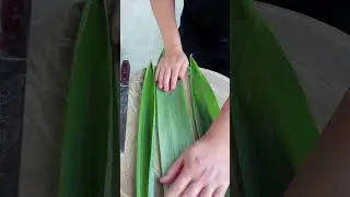 Green Leaves Cutting Trick . Chinese Style . #festivewithshorts