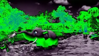 PLAY WITH ME THE SUN ALL DAY!! ELEPHANT( MIX VIBRATION VIDEO )SPONSORED BY: GAMAVISION CSUPO EFFECTS