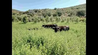 Virtual Tour of Oudeberg Permaculture Farm Agricultural Zones Part 1