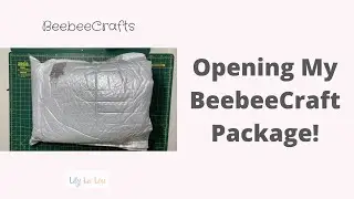 Beebeecraft Haul - Opening my Latest Package!