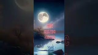 Celtic Moonlight Reverie 🌙 | Relaxing Harp & Flute | Ethereal Celtic Meditation Music