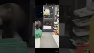 Persistent Bear Uses Hand Sanitizer