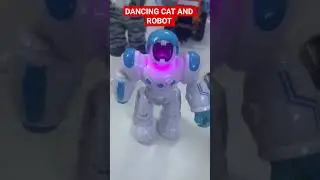 DANCING CAT AND ROBOT #disneycars #punjabisong #ytshorts #TOYS #KIDS
