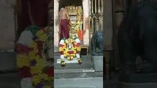 *ಇಂದಿನ ರಾಯರ ಮಂಗಳಾರತಿ...❤️🙏🏻🙏* #mantralaya #raghavendraswamy #srsmutt