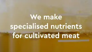 Cultured meat, how is it made? Multus Media