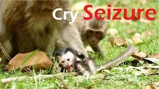 OMG! Baby Dax Cry Angry Sound Loudly Until Seizure Without Reason.Baby Dax Drama Aggressive Reaction