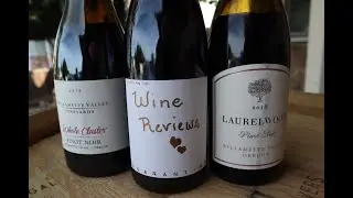 Pinot Noir Tasting & Review ft. The Official Quarantine Wine