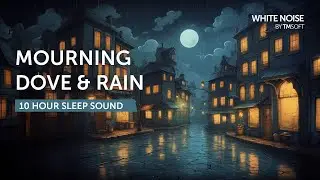 School Rooftop Mourning Dove Only with Rain (No Music) - 10 Hours - Black Screen