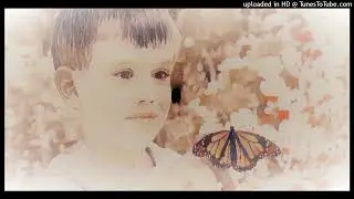 Pasaka „Par puisēnu un tauriņiem”