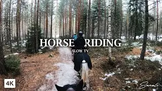 Horse Riding Through Winter Mist - 4K Slow TV