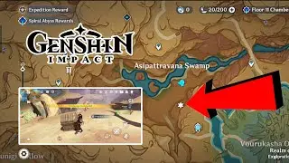 Precious Chest | Collect 26 Dendro Particles within 120 seconds | Genshin impact update 6.1 version 