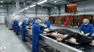 Inside a Modern Cow Leather Tannery: From Hide to Handbag | Tannery & Thread