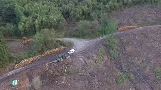 Brynawel tree cutting 30-08-2020