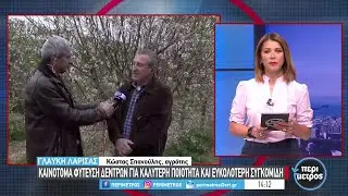Καινοτόμα φύτευση δέντρων - Ποιότητα και ευκολότερη συγκομιδή | 21/03/2023 | ΕΡΤ