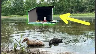DIY BUDGET FLOATING DUCK HOUSE!!