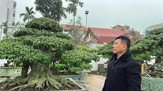 TIỆC TẤT NIÊN HỘI NHỮNG NGƯỜI YÊU CÂY CHƯƠNG MỸ MỞ RỘNG, khu lk Lộc Ninh Chương Mỹ HN | Quảng Tùng